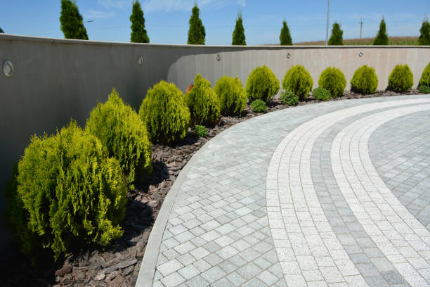 Best Driveway Repair Near Me  in Tolar, TX